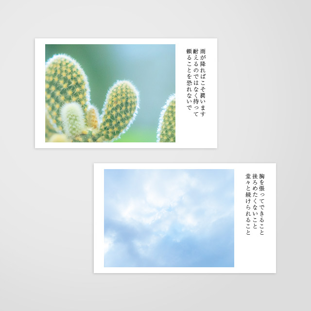 日々のかけらオラクル